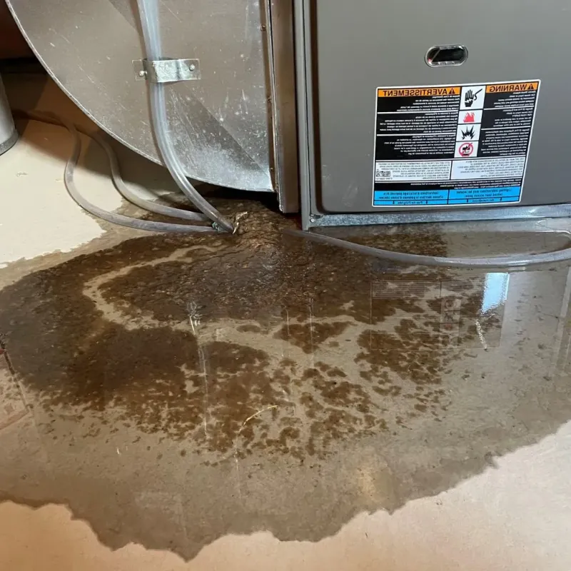 Pipe Burst and Leak Restoration in Mount Olympus, UT